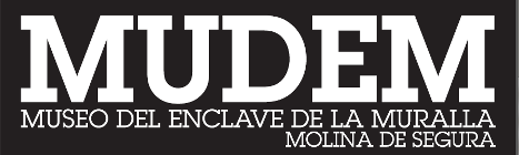 Logo Mudem